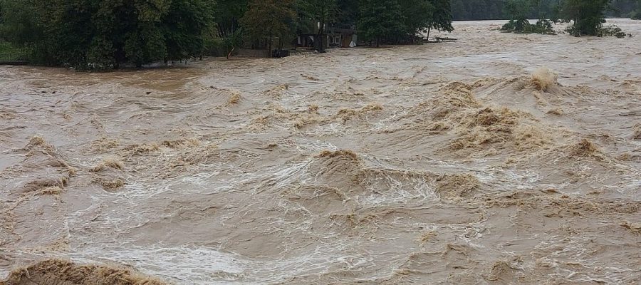 Sava_v_Tacnu_4._avgusta_ob_16h-1024x768